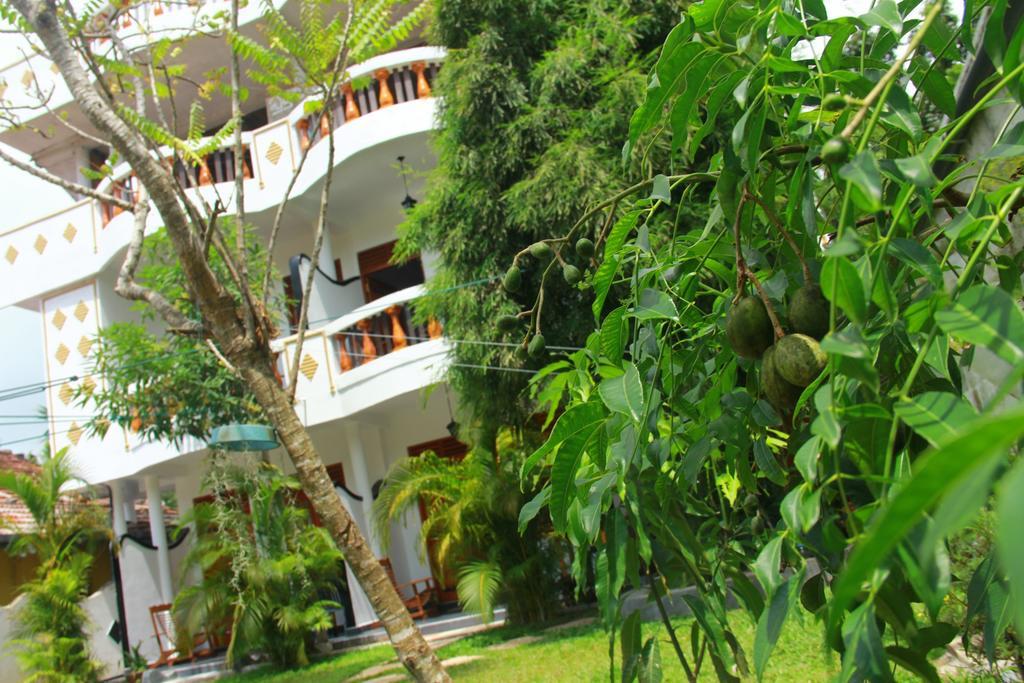 Orchid Rest Hotel Mirissa Eksteriør billede